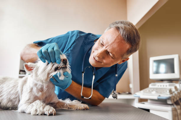 Best Emergency Broken Tooth Repair in South Brooksville, FL